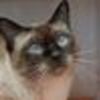 Martha Cecilia Osorio Monard