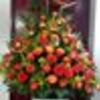 Floreria Ikebana Ibague